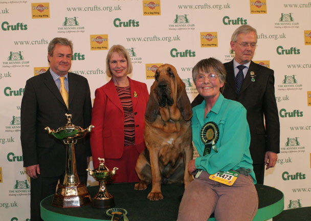 photo courtesy of the kennel club image library